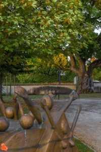 L'Oranger des Osages - Arbre remarquable implanté derrière la bibliothèque de Monéteau