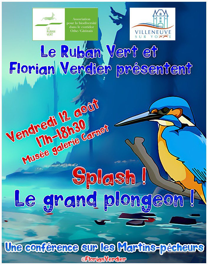 conférence sur les martins-pêcheurs à Villeneuve-sur-Yonne
